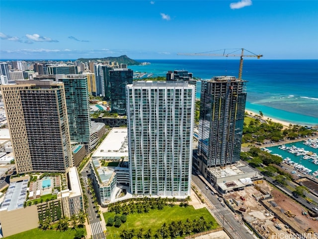 bird's eye view with a water view and a beach view