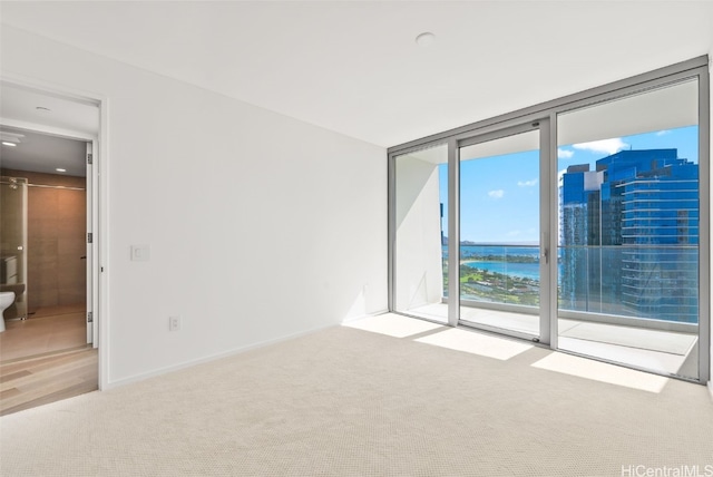 empty room featuring carpet flooring and a wall of windows