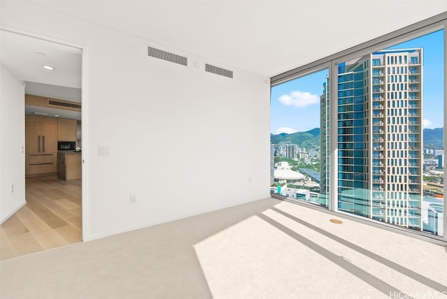 unfurnished room featuring a mountain view, hardwood / wood-style floors, a wall of windows, and plenty of natural light