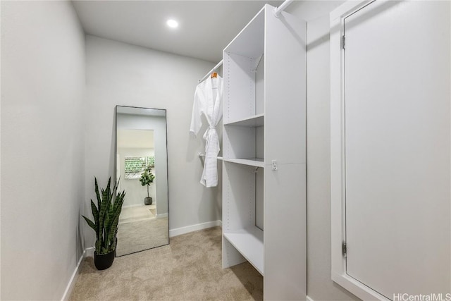 spacious closet with light carpet