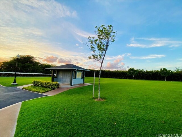 view of yard at dusk