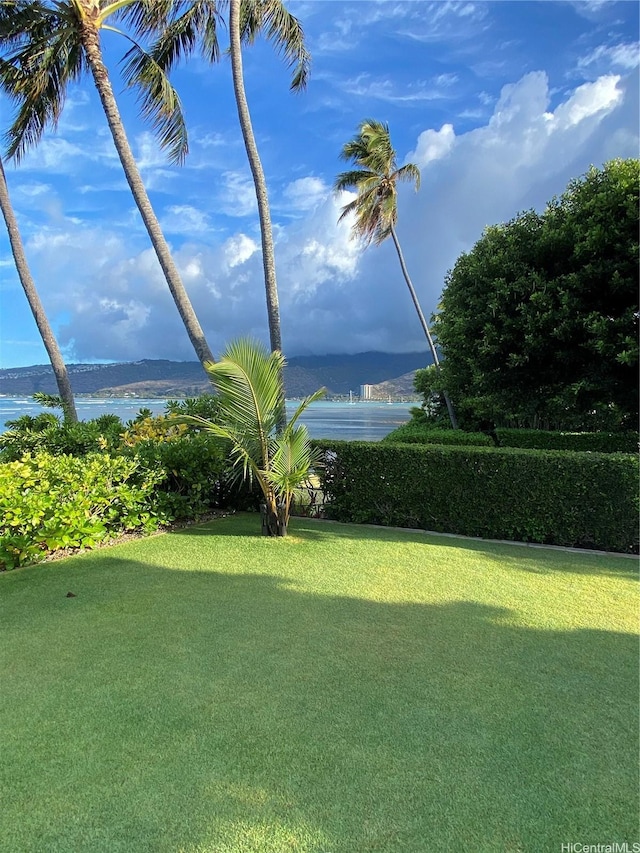 469 Portlock Rd Unit A, Honolulu, HI 96825 - photo 14