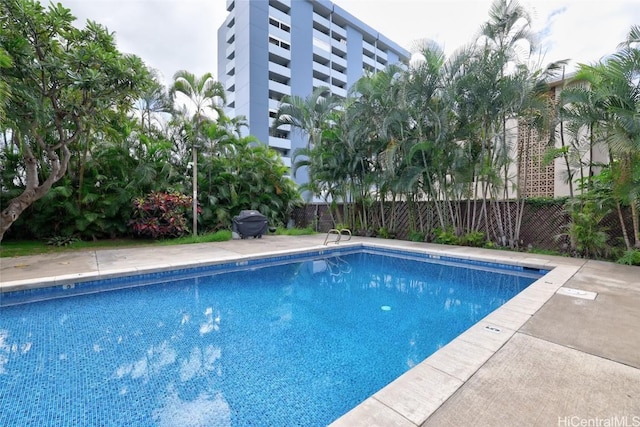 view of swimming pool