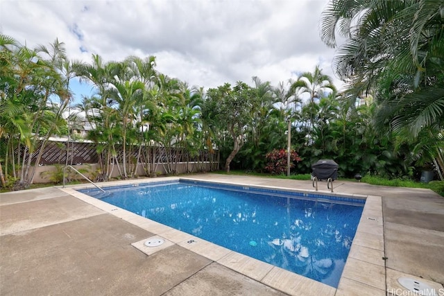 view of swimming pool with a patio area