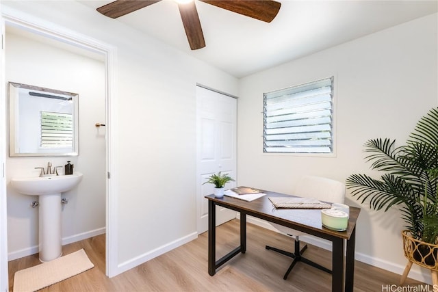 home office featuring light hardwood / wood-style flooring, ceiling fan, and a healthy amount of sunlight