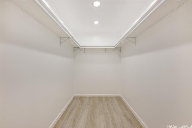 spacious closet with light wood-type flooring