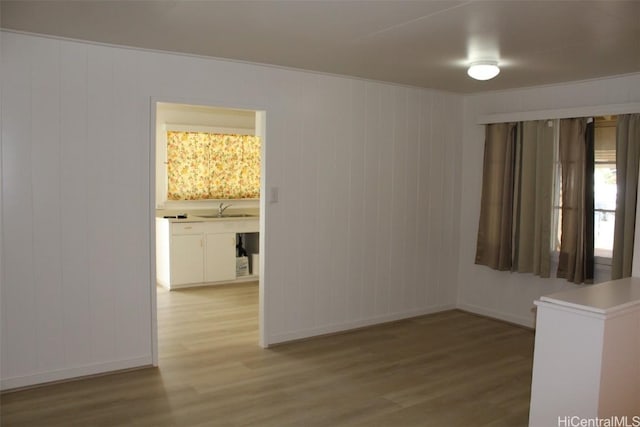 empty room with wooden walls, light hardwood / wood-style flooring, and sink