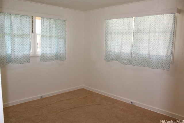 spare room with carpet flooring