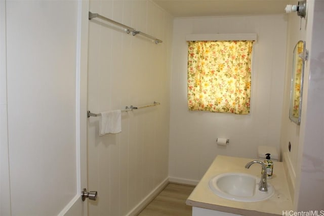 bathroom featuring vanity and wood-type flooring