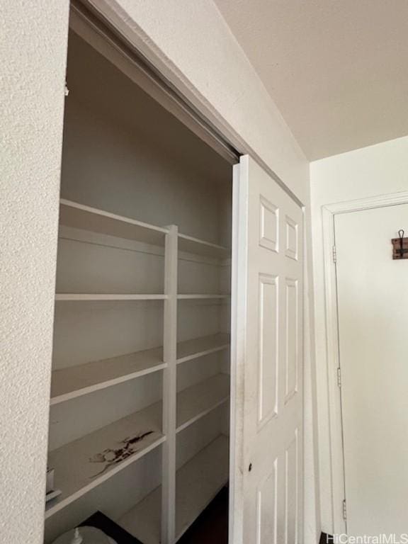 view of closet