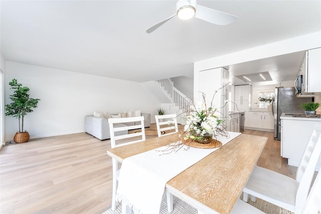 dining space with light wood-type flooring and ceiling fan