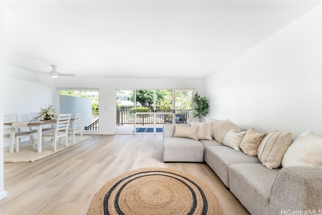 living room with ceiling fan and light wood-type flooring