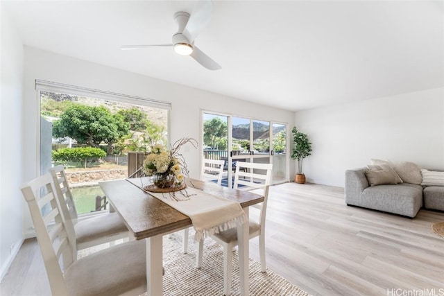 sunroom with ceiling fan