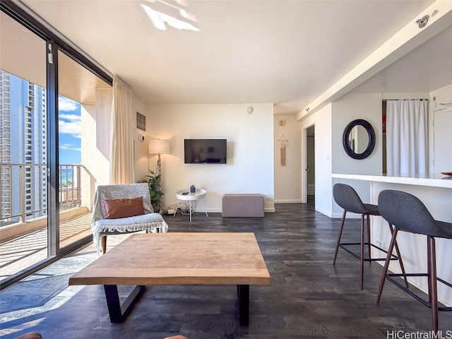 living room featuring dark hardwood / wood-style floors