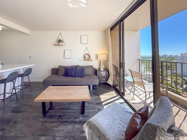 living room with dark hardwood / wood-style floors and floor to ceiling windows