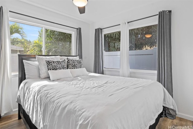 bedroom featuring ceiling fan and dark hardwood / wood-style flooring