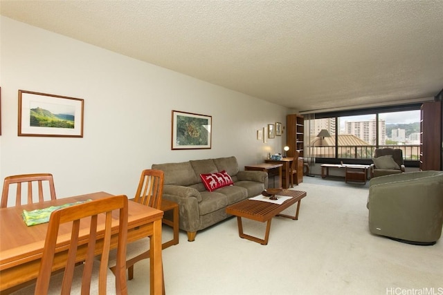 carpeted living room with a textured ceiling