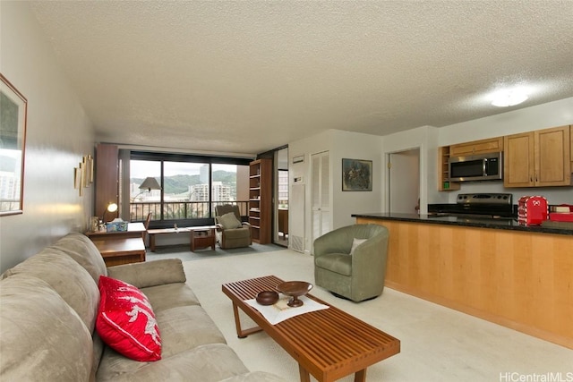 carpeted living room featuring a textured ceiling