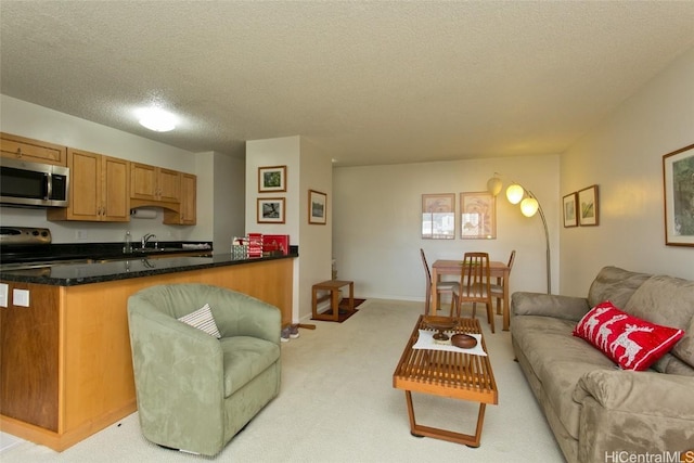 living room with sink, a textured ceiling, and light carpet