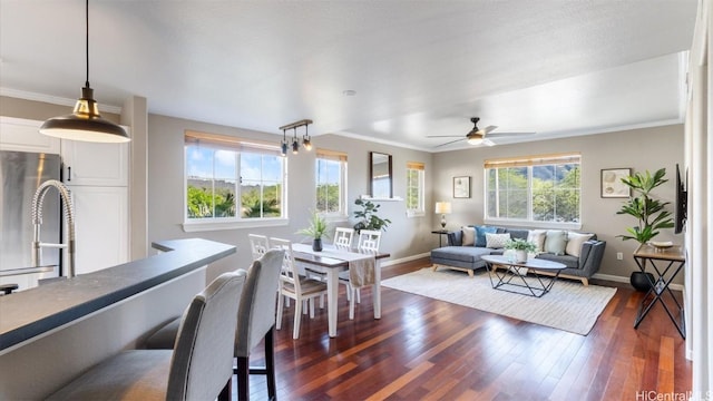 living room with dark hardwood / wood-style flooring, ceiling fan, plenty of natural light, and ornamental molding