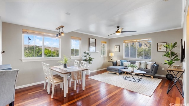 living room featuring ceiling fan, crown molding, and dark wood-type flooring