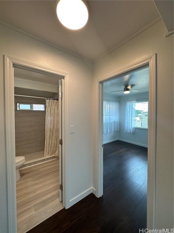 hallway with dark hardwood / wood-style flooring