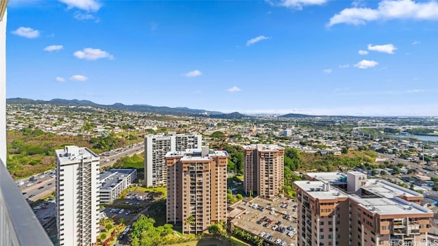 birds eye view of property featuring a mountain view