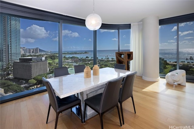 dining space featuring light hardwood / wood-style floors, a water view, and a wall of windows