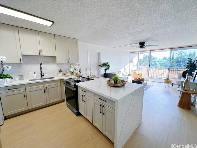 kitchen with ceiling fan, light hardwood / wood-style floors, black range with electric stovetop, and sink