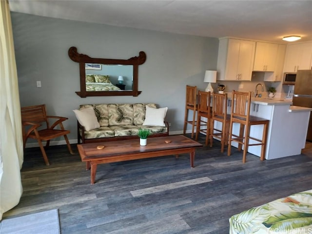 living room featuring sink and dark wood-type flooring