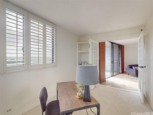 office with plenty of natural light, carpet floors, and french doors