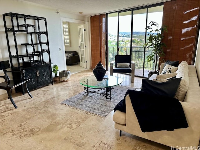 living room featuring expansive windows