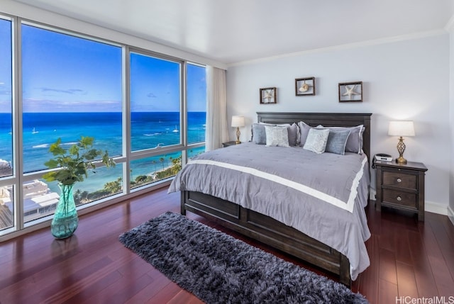 bedroom featuring multiple windows, dark hardwood / wood-style flooring, and a water view