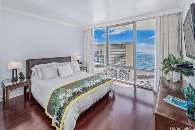 bedroom featuring floor to ceiling windows and dark wood-type flooring