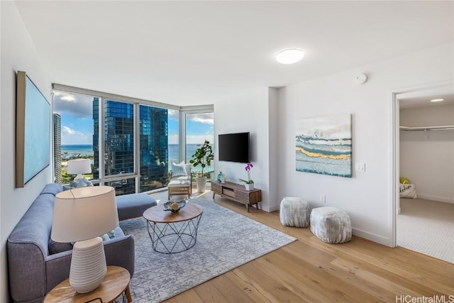 living room with light hardwood / wood-style floors