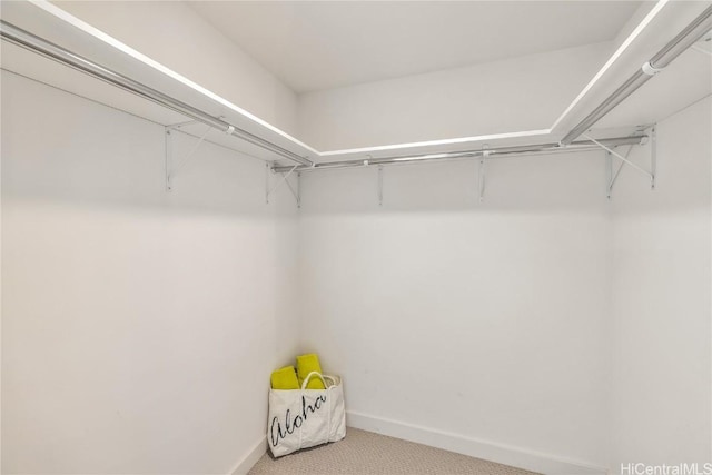 spacious closet featuring light colored carpet