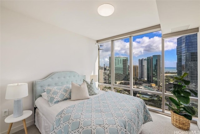 carpeted bedroom with expansive windows