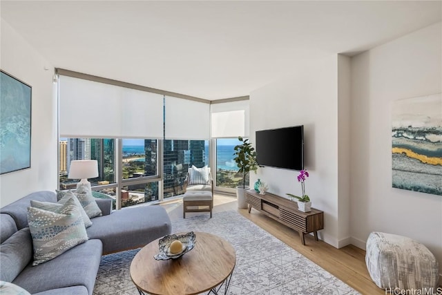 living room with light hardwood / wood-style flooring