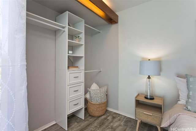 spacious closet with dark hardwood / wood-style flooring