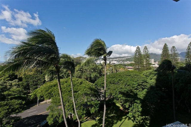 view of landscape