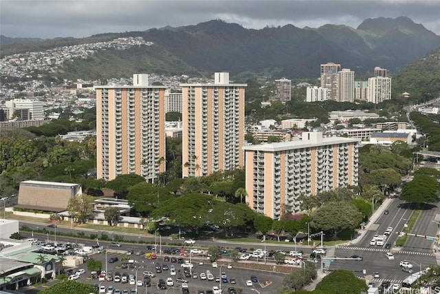 aerial view with a mountain view