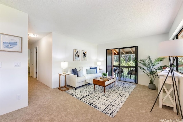 living room featuring light carpet and a textured ceiling