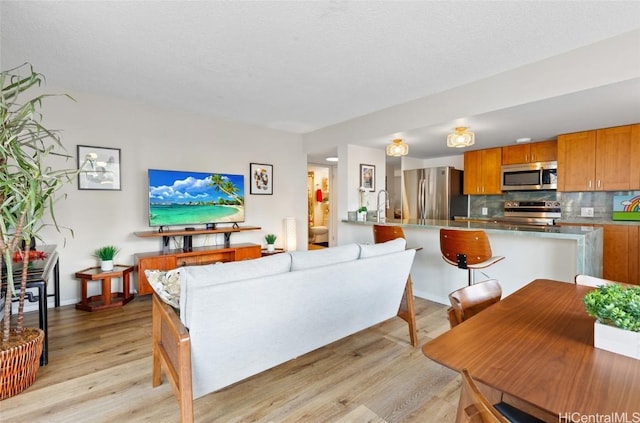 living room with light hardwood / wood-style flooring