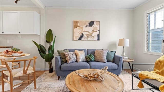 living room featuring a wealth of natural light, crown molding, and light hardwood / wood-style flooring