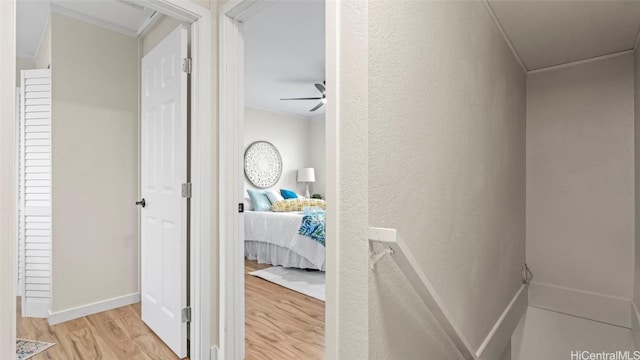 hall featuring crown molding and light hardwood / wood-style floors