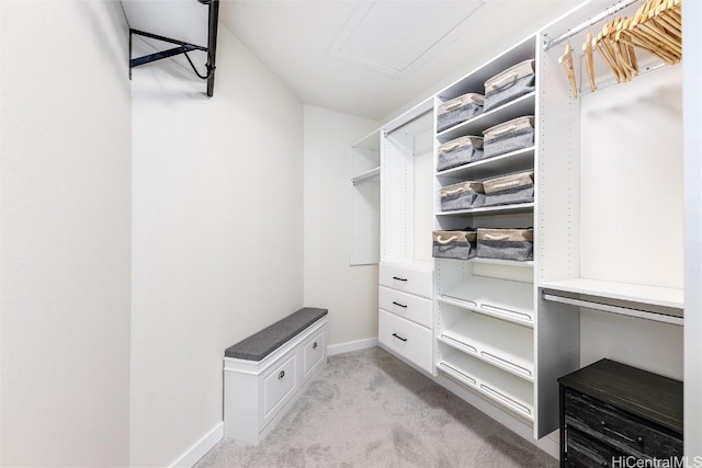 spacious closet with light carpet