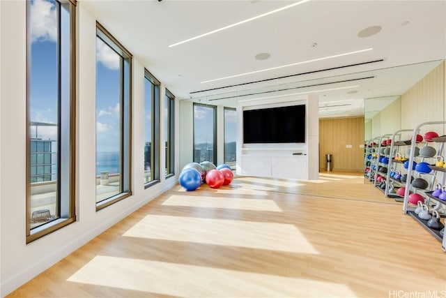 playroom with hardwood / wood-style flooring, plenty of natural light, and a wall of windows