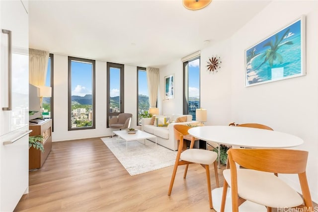 interior space featuring light hardwood / wood-style floors and a wall of windows