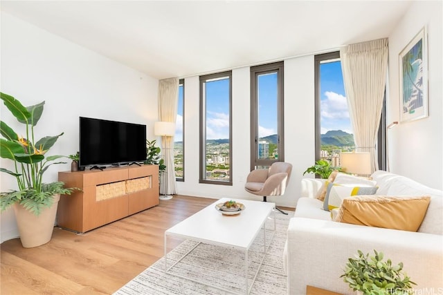 living room with hardwood / wood-style floors and expansive windows