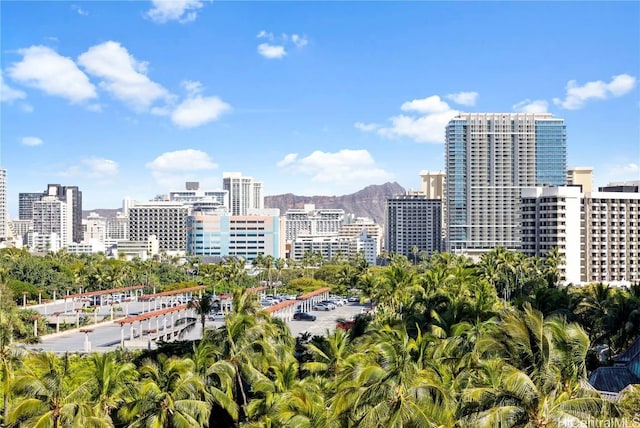 property's view of city with a mountain view